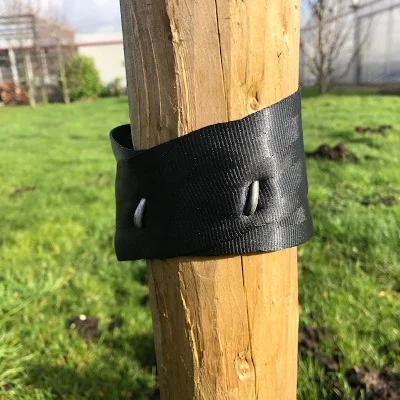 Afbeelding Boomband 50 mm op rol